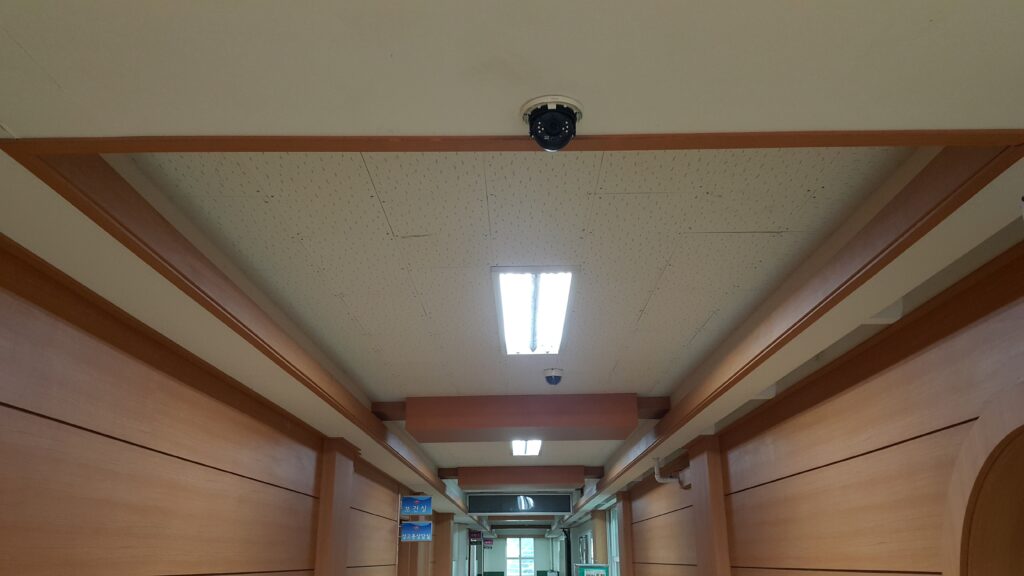 From Tegu to Helsinki: why a child’s heart needs more than just a textbook
