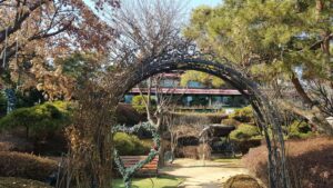 Shimjeong and Emotional Well-being: Why the Heart Knows More Than the Mind